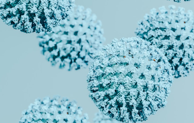 Microscopic view of several spiky, spherical virus particles rendered in blue-green tones.