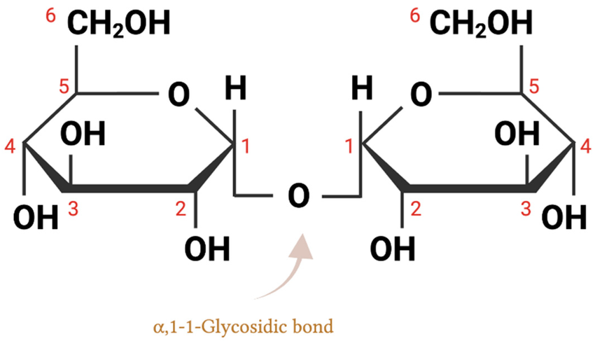 image 1 | Mannitol vs Trehalose: Excipient Use in Peptide Manufacturing